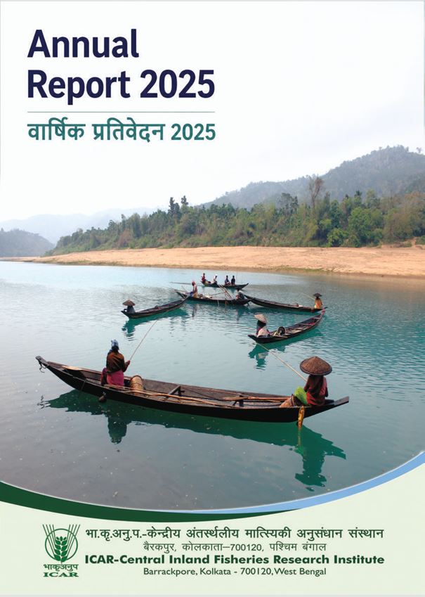 Annual Report 2020