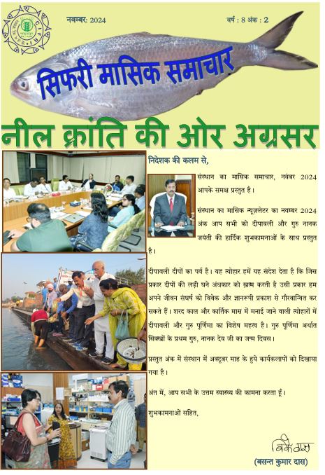 सिफारी मासिक समाचार नवम्बर